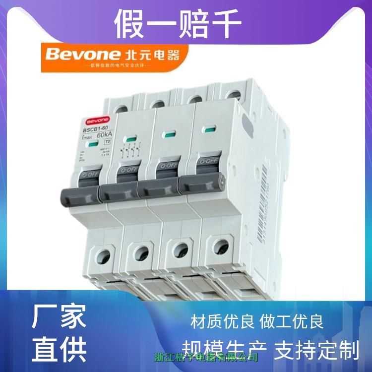 全新原裝正品北京北元電器BSCB-20-40-60-100-120電涌后備保護器
